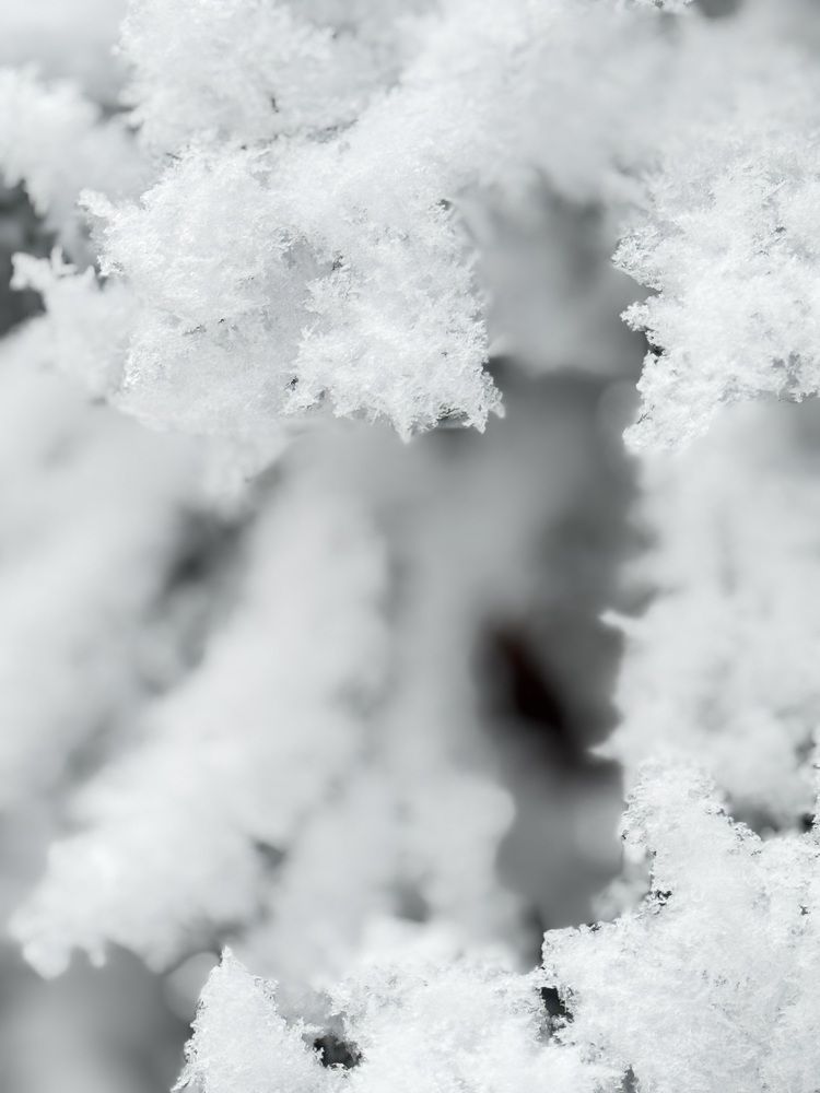 Photograph by Наталья Арнаутова