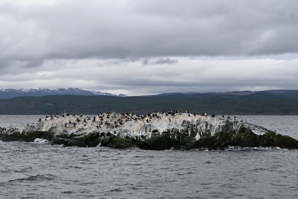 Photograph by Дарья Булавина