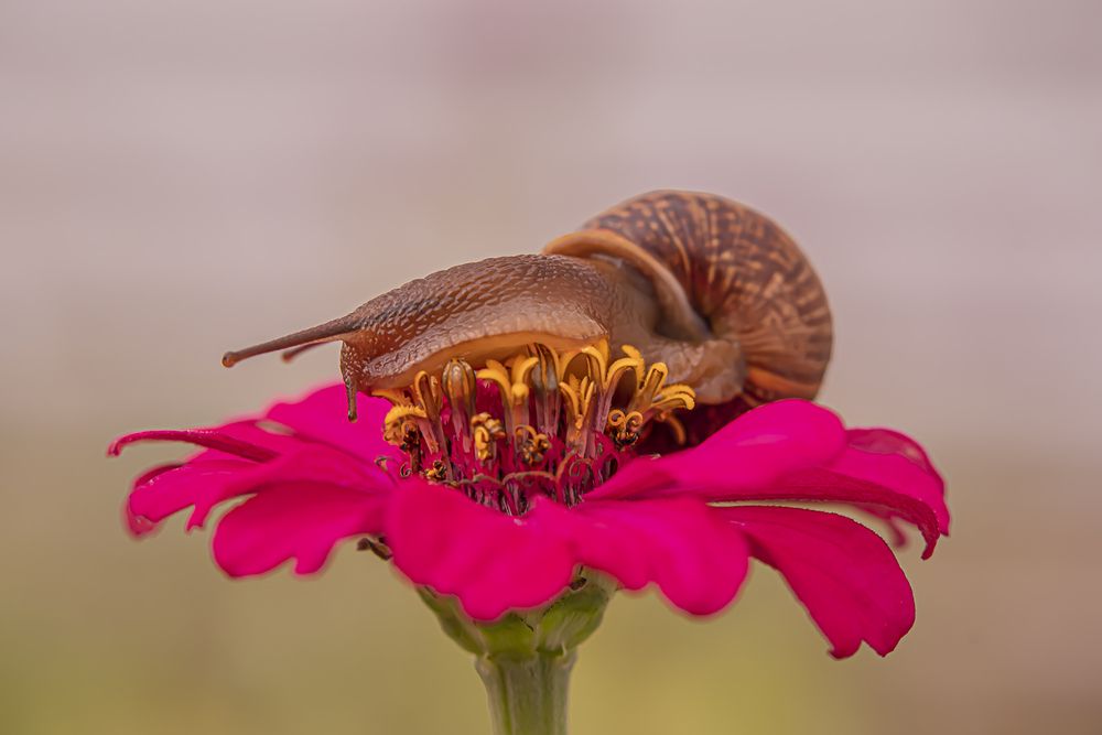 Photograph by Бурикова Екатерина