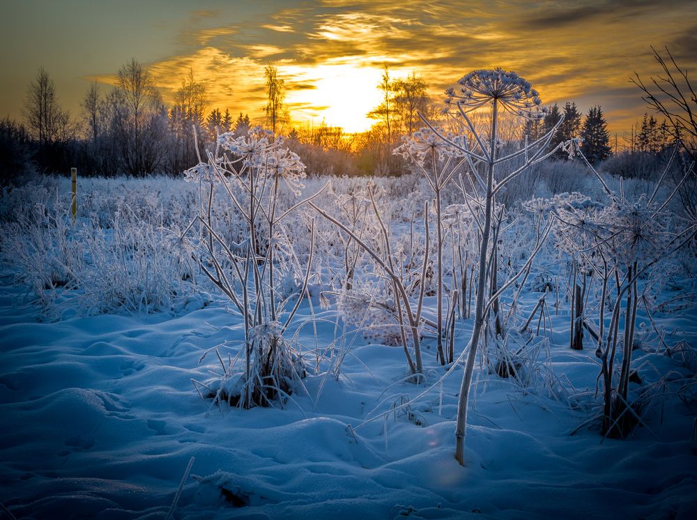 Photograph by Gennadiy Slezkin