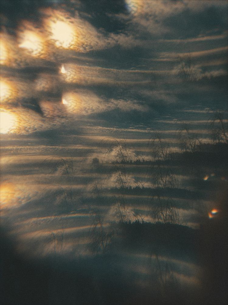 Photograph by Александра Бусарова