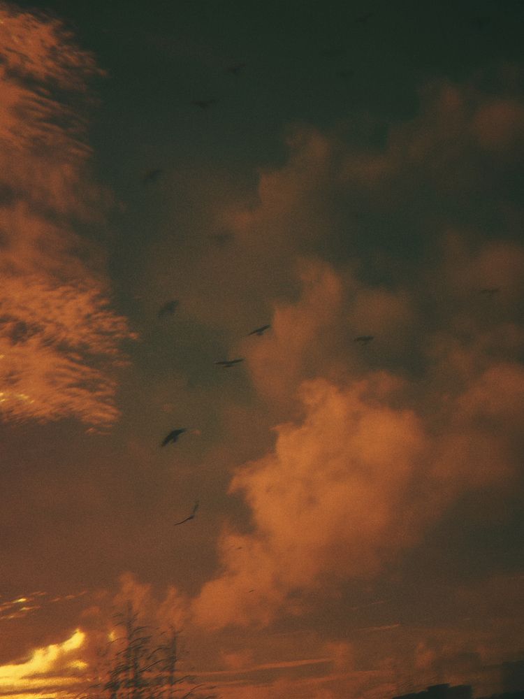 Photograph by Александра Бусарова