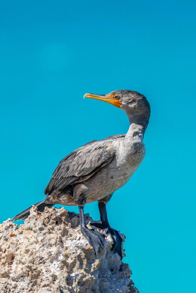 Photograph by Андрей Акимов