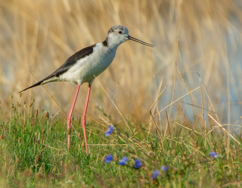 Photograph by Marianna Klein