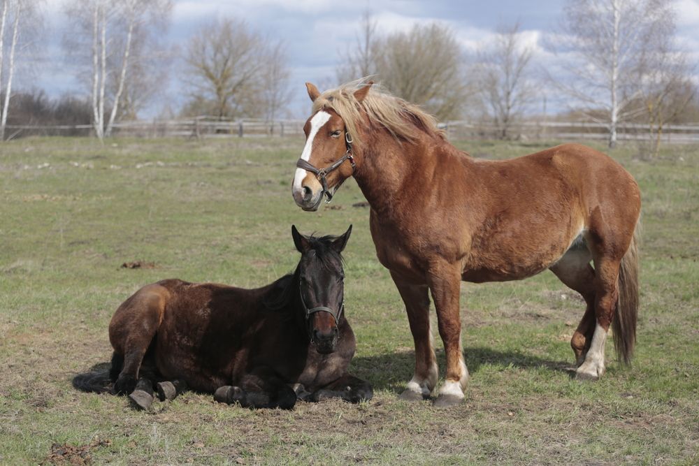 Photograph by Евгения Осипова