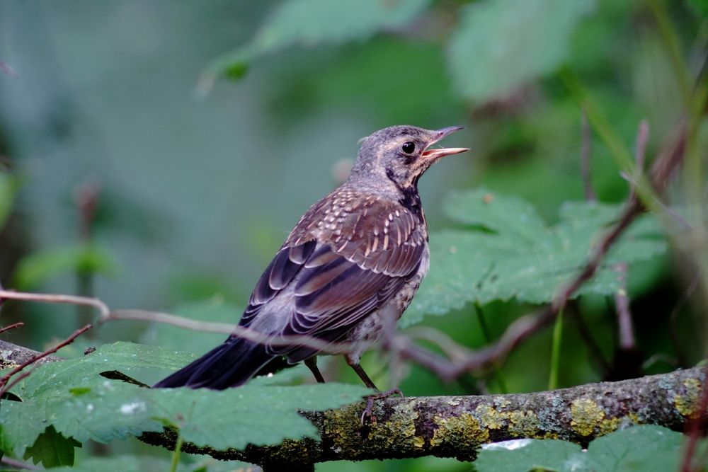 Photograph by Сергей