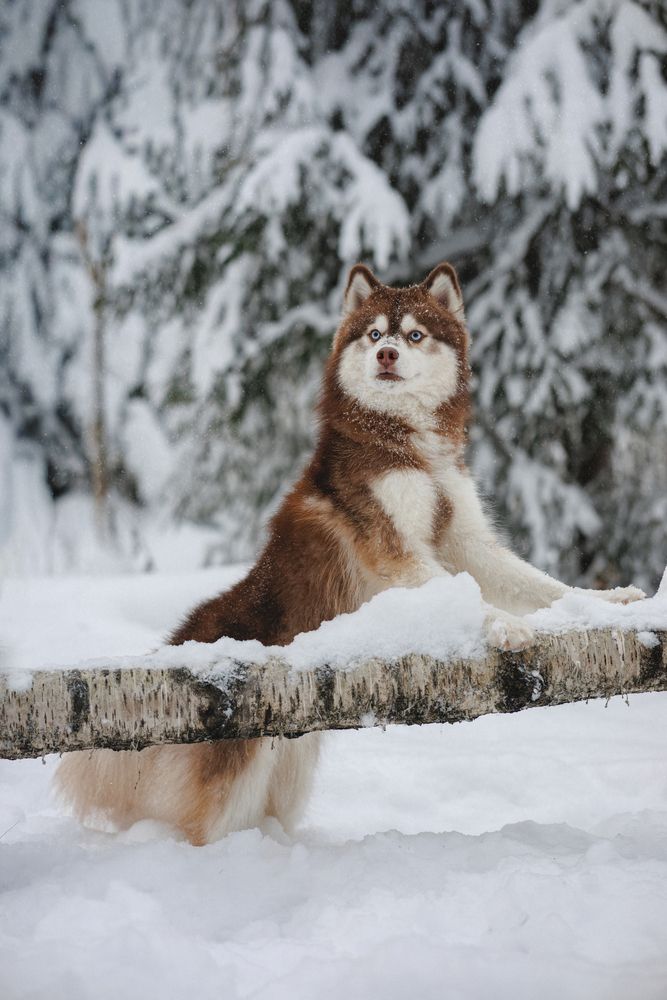 Photograph by Алёна Губинская