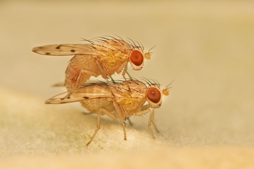 Photograph by ARUNAVA DEY