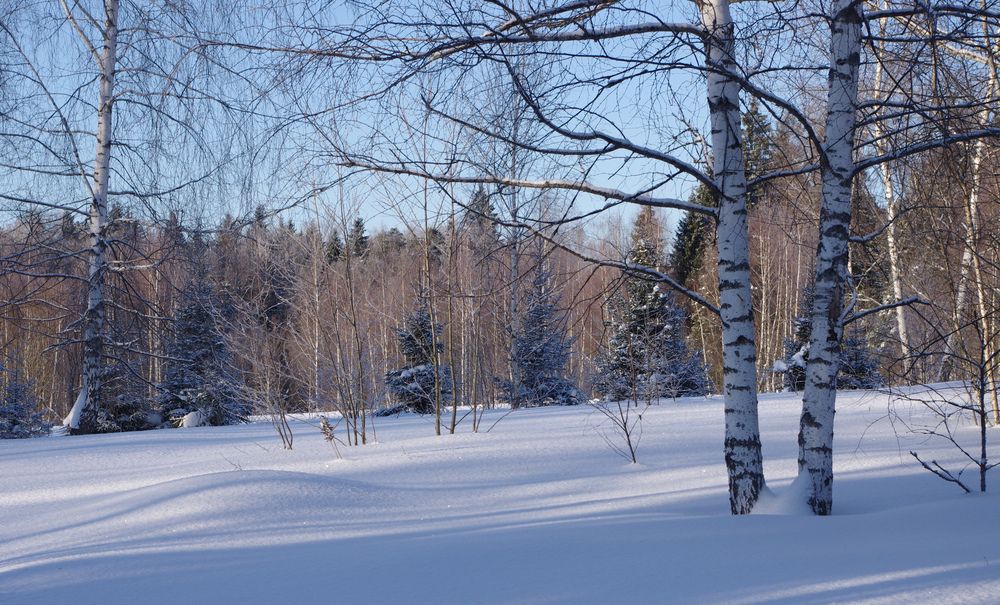 Photo #13093673