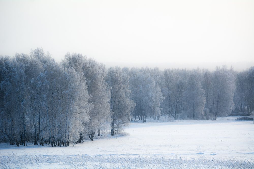 Photograph by Данил Баглаев