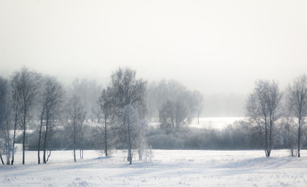 Photograph by Данил Баглаев