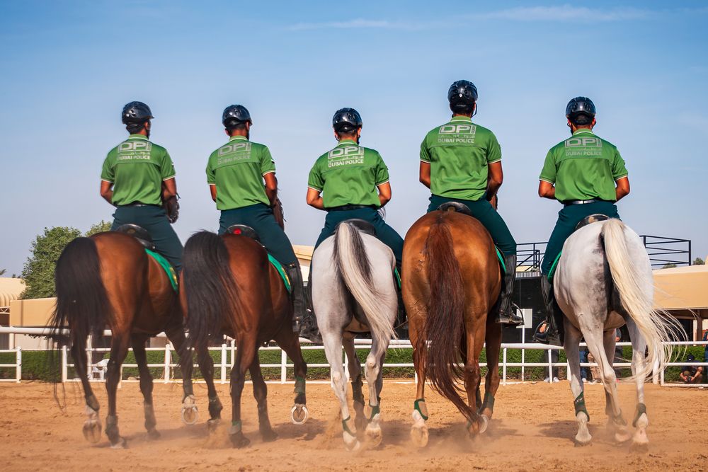 Фотография автора Kirtesh Mahant