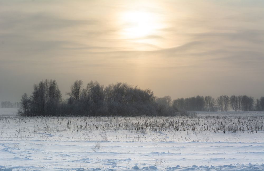 Photograph by Данил Баглаев