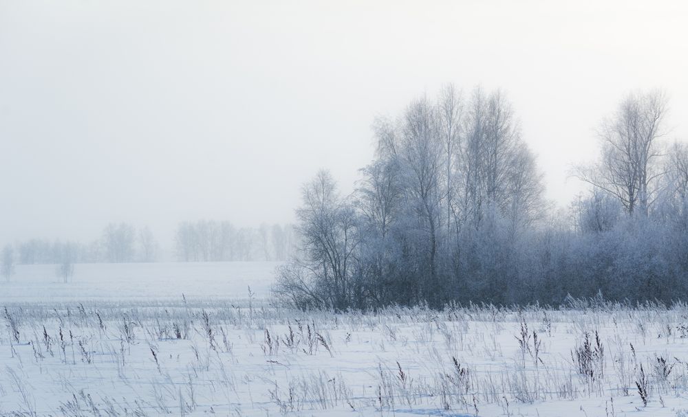 Photograph by Данил Баглаев