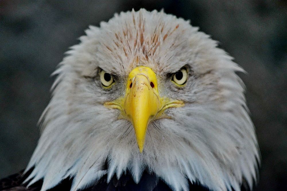 Photograph by Анастасия Смирнова