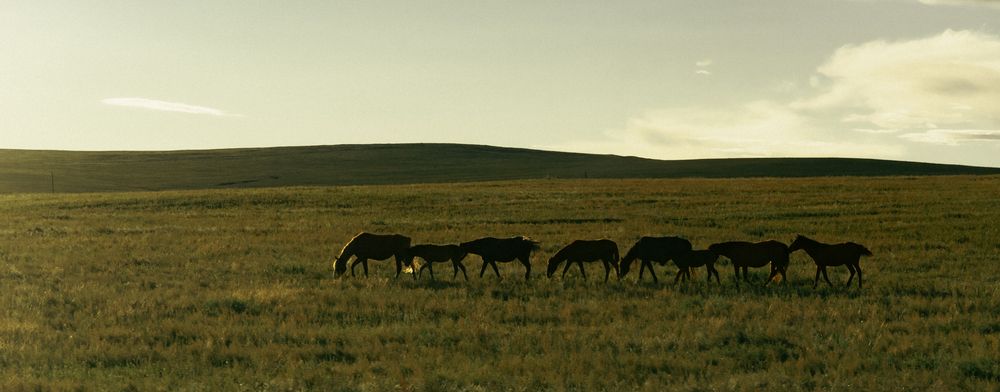 Photograph by Данил Баглаев