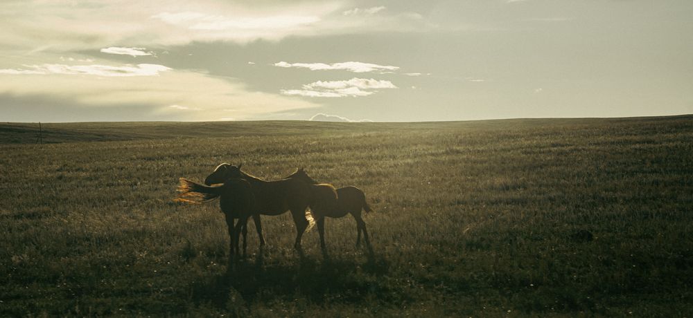 Photograph by Данил Баглаев