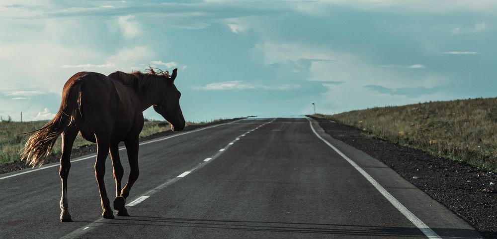 Photograph by Данил Баглаев