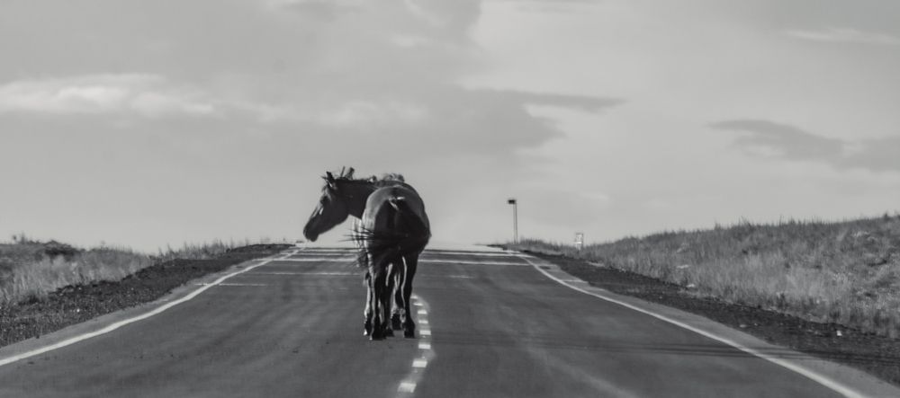 Photograph by Данил Баглаев