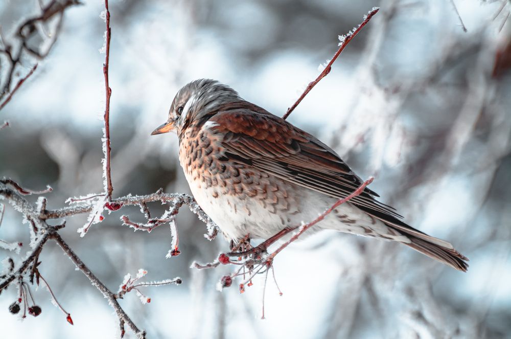 Photograph by Данил Баглаев