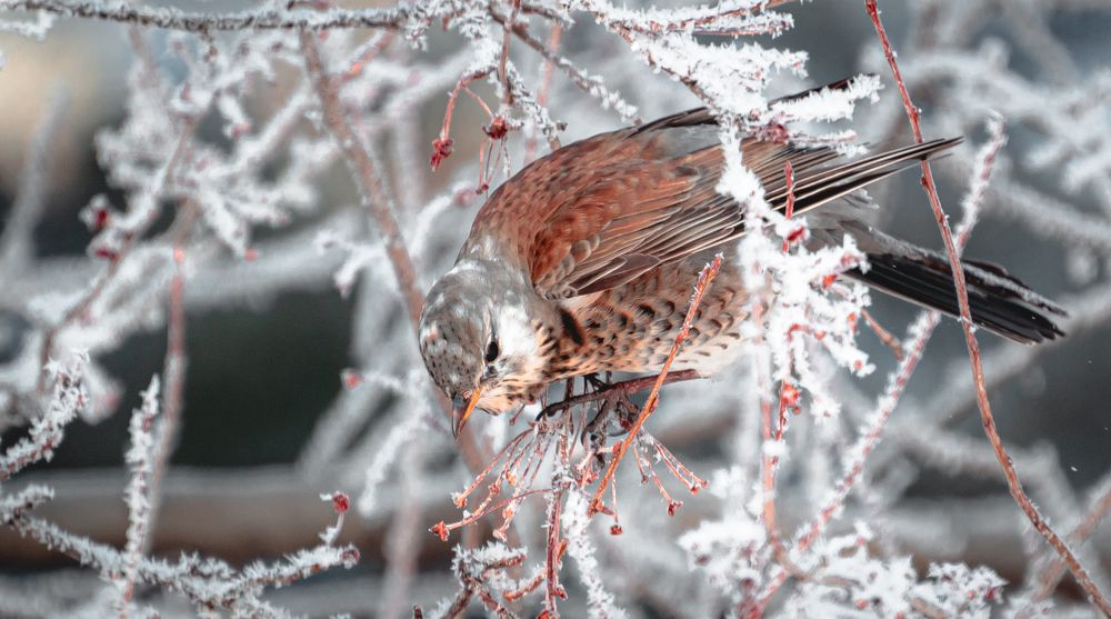 Photograph by Данил Баглаев
