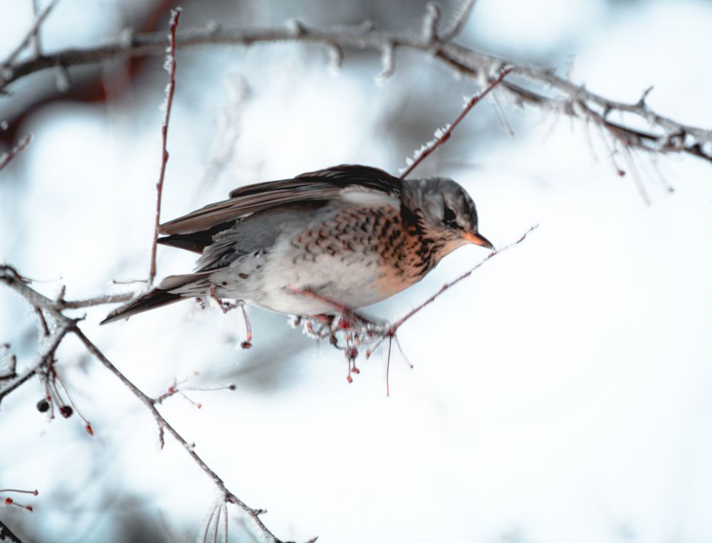 Photograph by Данил Баглаев