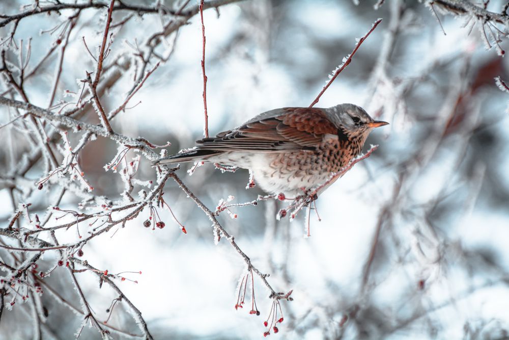 Photograph by Данил Баглаев