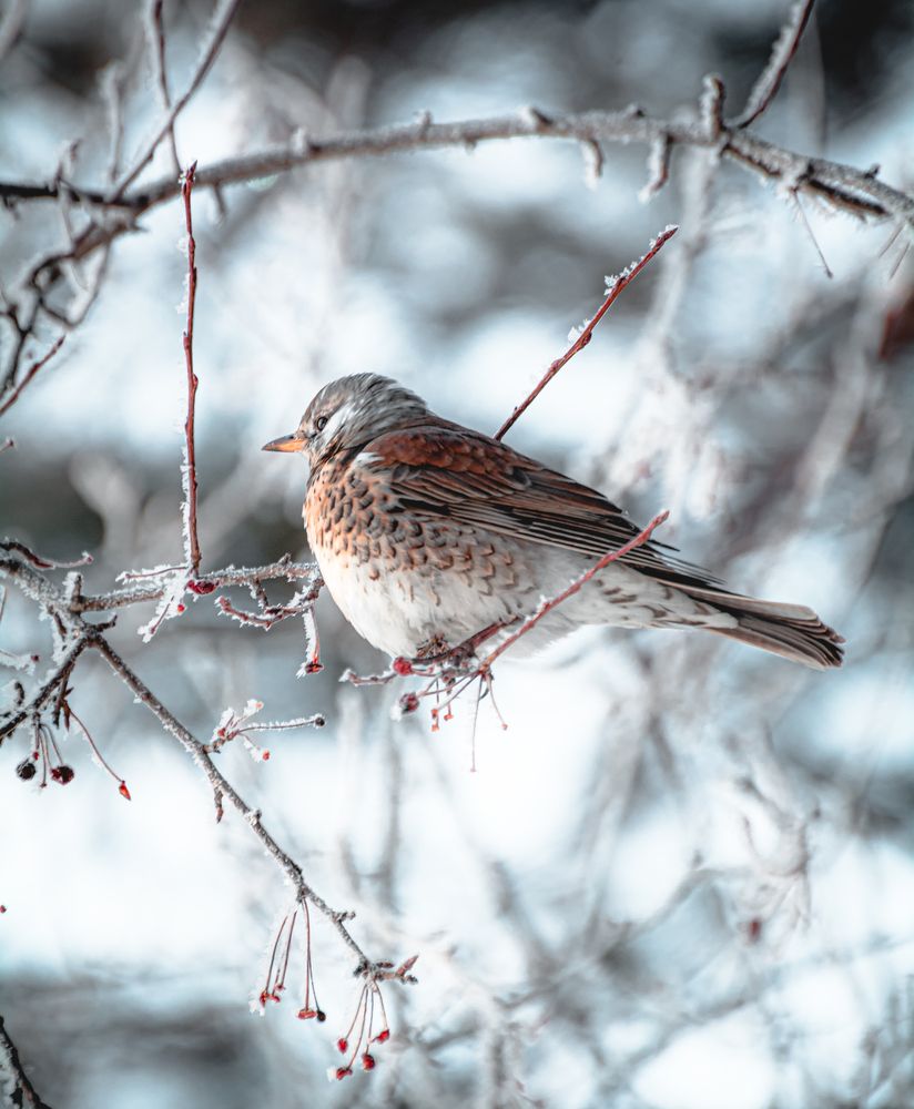 Photograph by Данил Баглаев