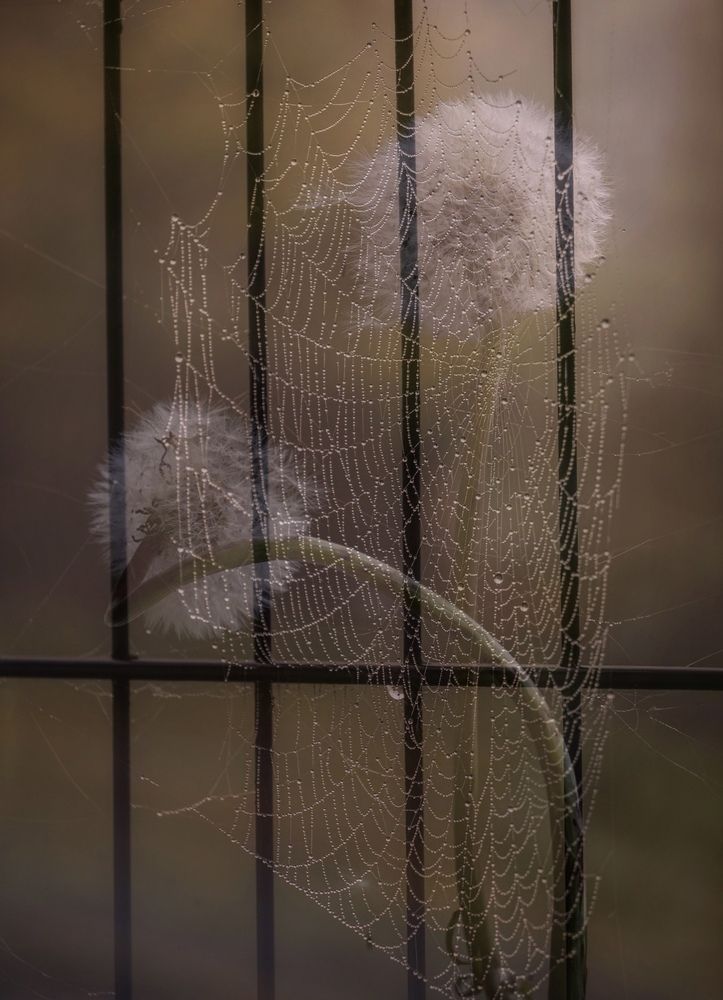 Фотография автора Olga Schmidt