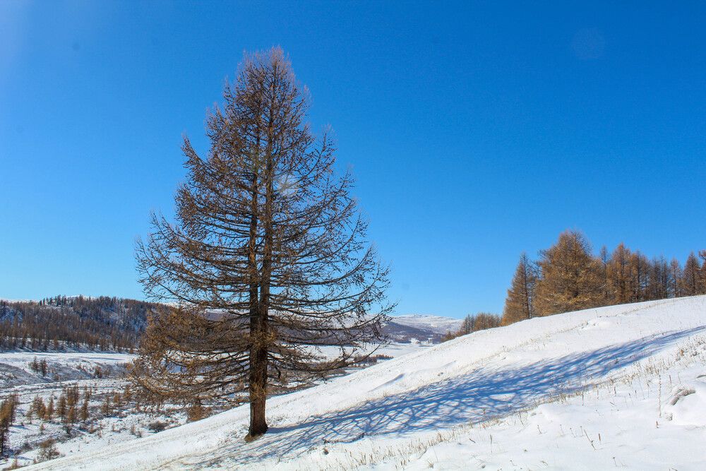 Стоит одиноко...