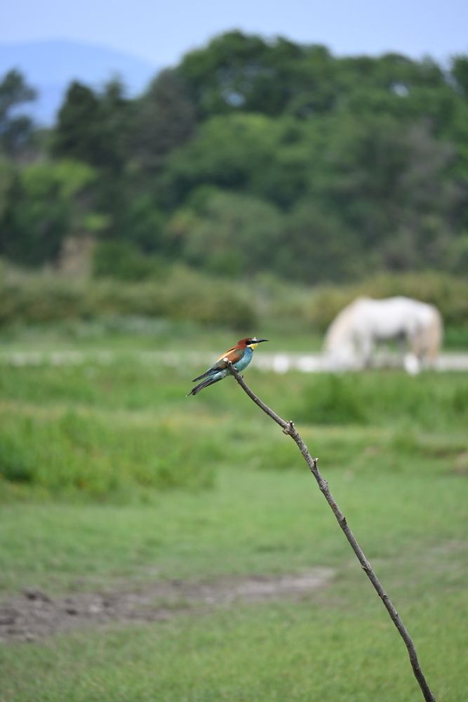 Photograph by Maria Vittoria Amoruso