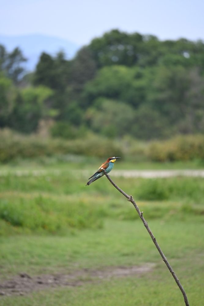 Photograph by Maria Vittoria Amoruso