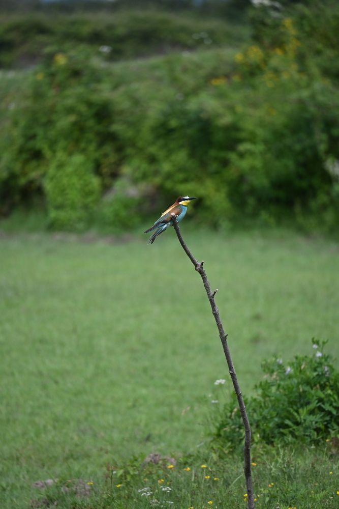 Photograph by Maria Vittoria Amoruso