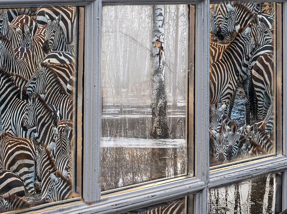 В одно окно смотрели двое...