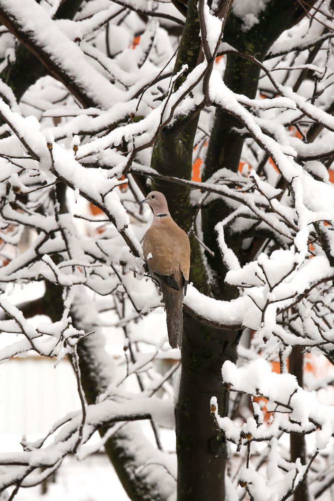 Photograph by Алексей Шевцов