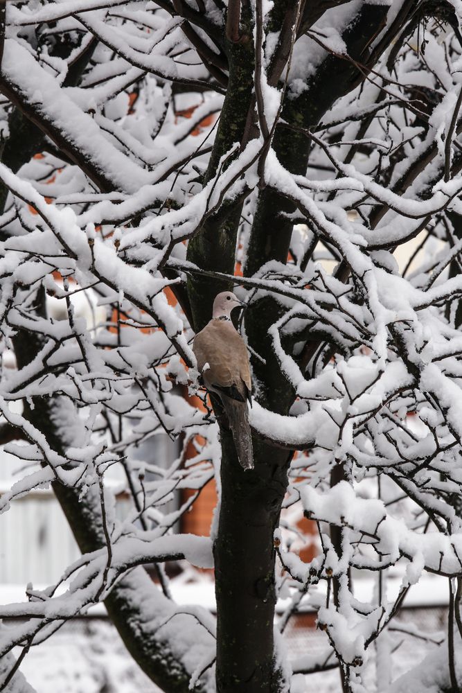 Photograph by Алексей Шевцов