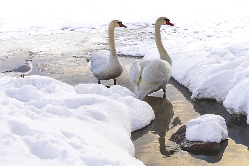 Photograph by Вадим Копилец