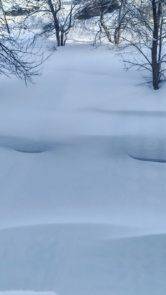 Фотография автора Наталья Шендяпина