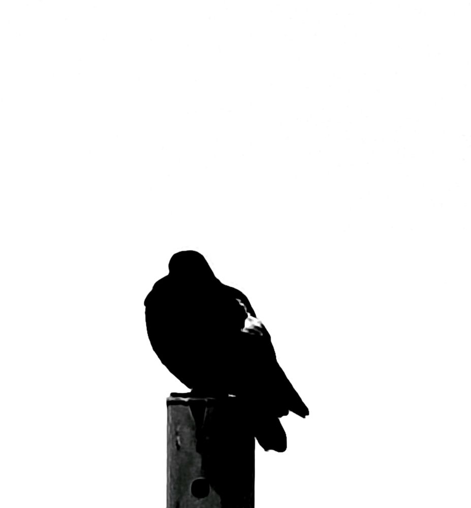 Photograph by Евгений Климов
