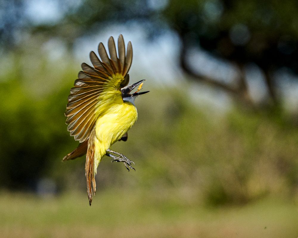 Photograph by Angie Birmingham