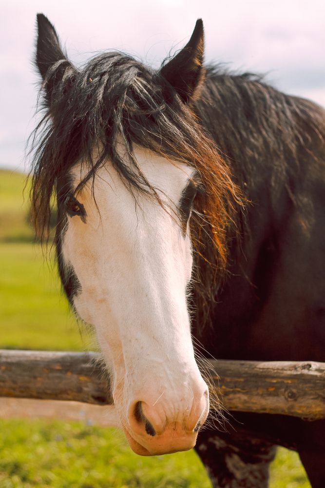 Photograph by Елена Лоцманова
