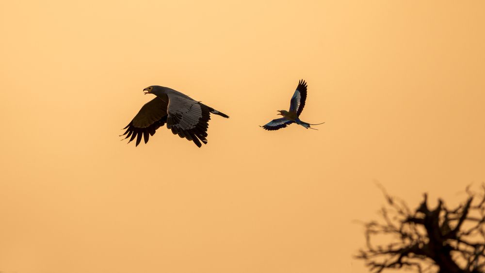 Photograph by Angie Birmingham