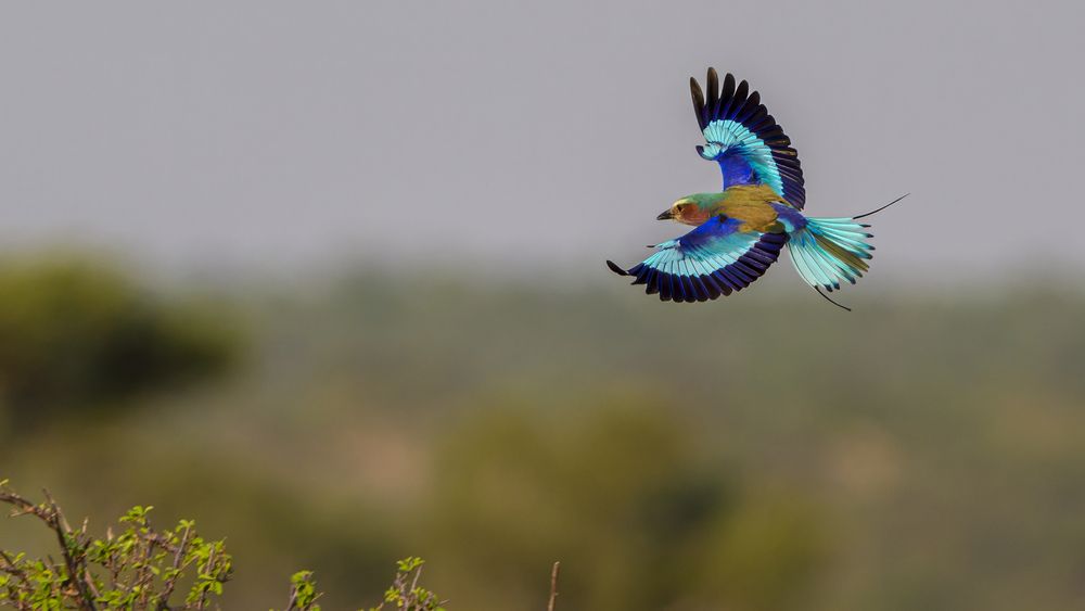 Photograph by Angie Birmingham