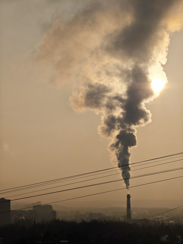 Фотография автора Ася Титова