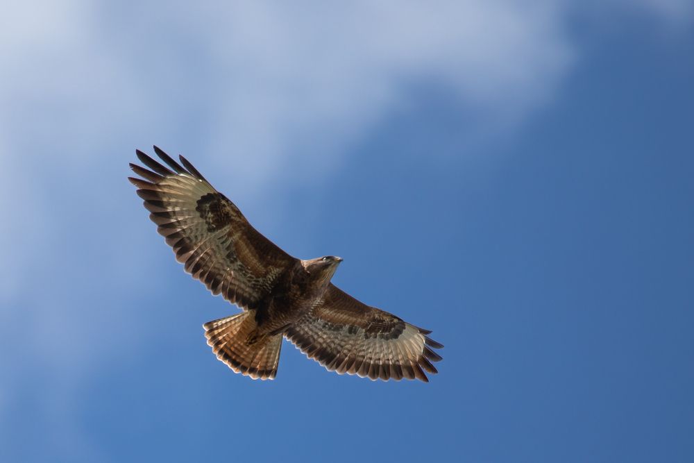 Photograph by Кульчицкий Андрей