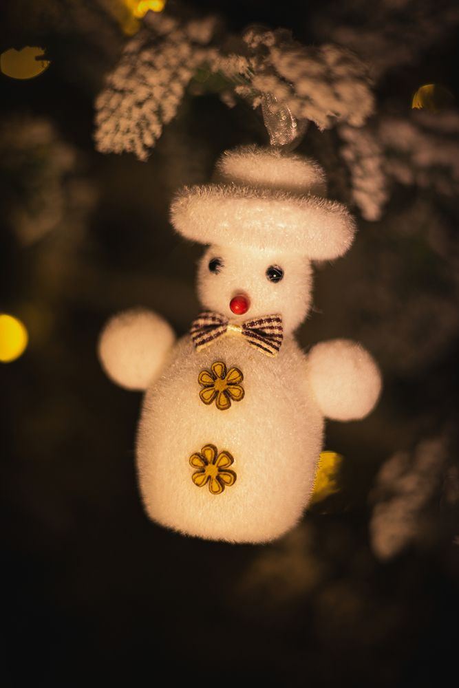 Фотография автора Анна Гусева