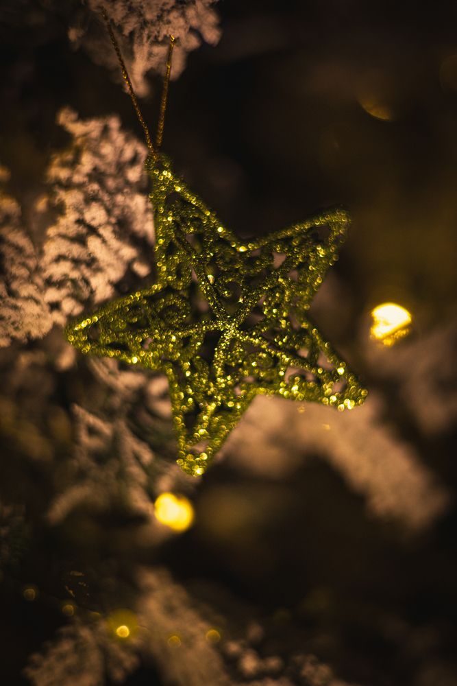 Фотография автора Анна Гусева