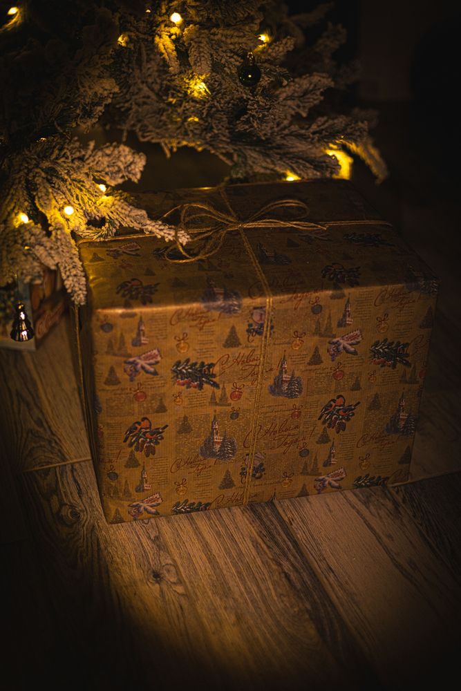 Фотография автора Анна Гусева