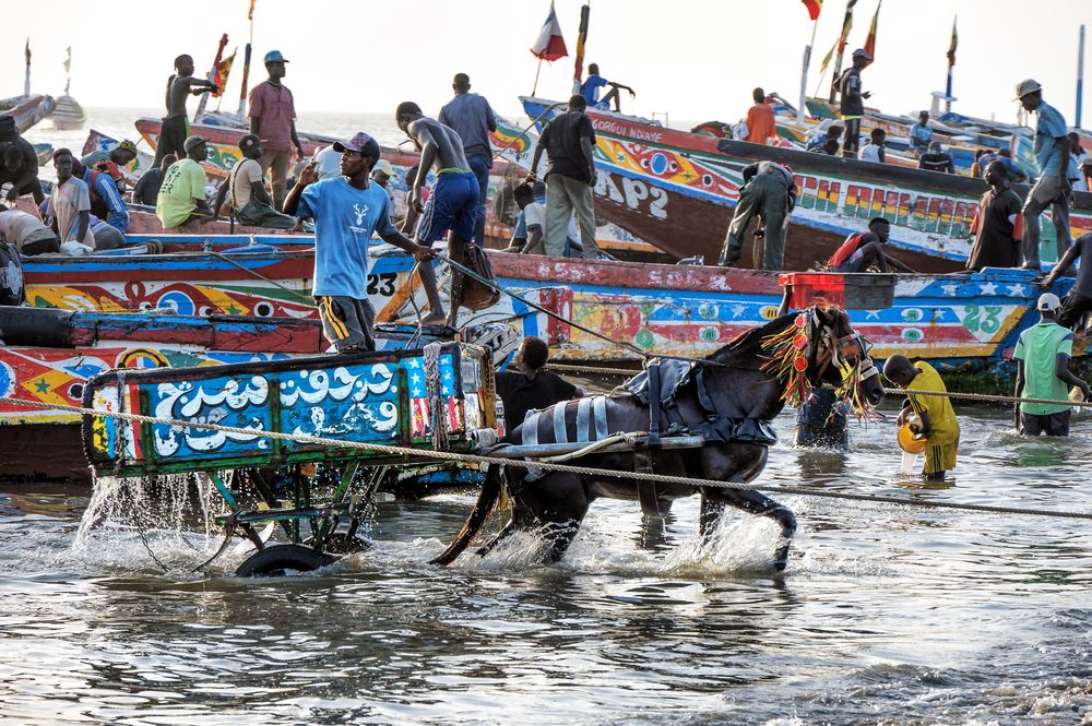 Фотография автора Jacky Weckx