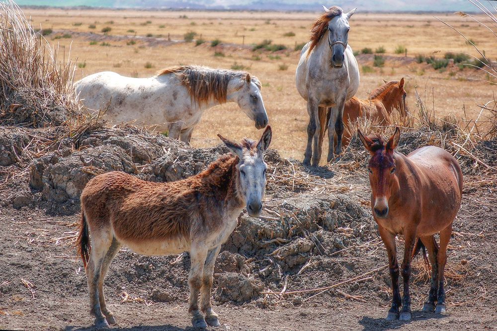 Фотография автора Jacky Weckx